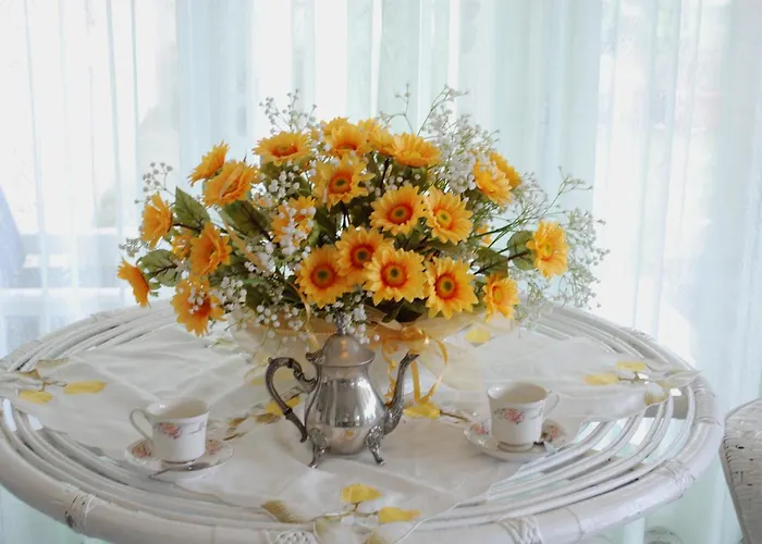 Adriatico Hotels Milano Marittima Hotel